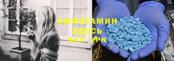 спиды Богданович