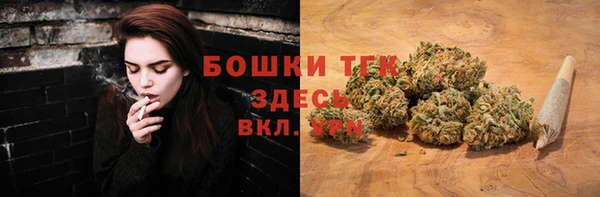 стаф Белокуриха