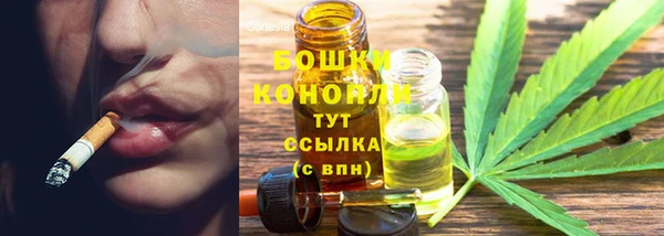 спиды Богородицк