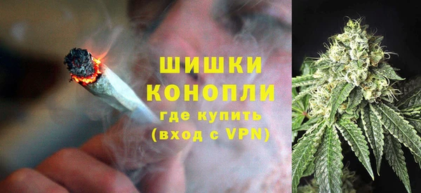 индика Белоозёрский