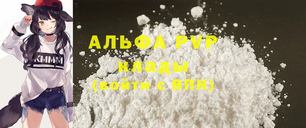 индика Белоозёрский