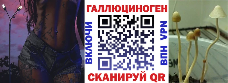 Псилоцибиновые грибы прущие грибы  Велиж 